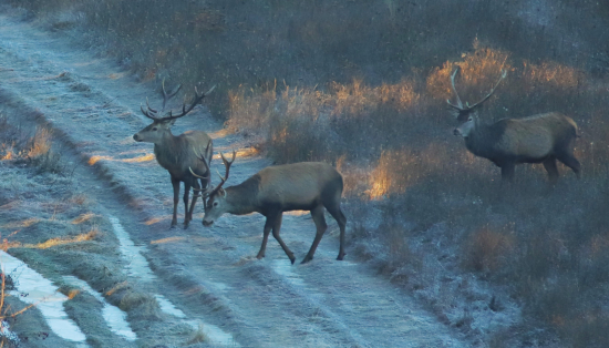 Keď sa chlapi stretnú ...