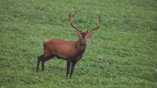 Stretli sa nám pohľady