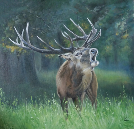 Jeleň - olejomaľba 40x40