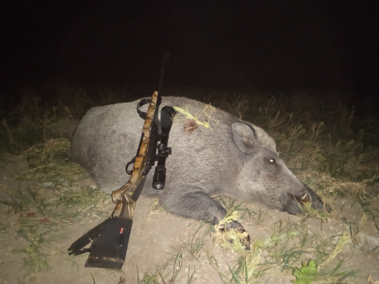 Striebro v mesačnom splne