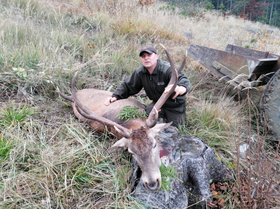 Jedno nedeľné ráno