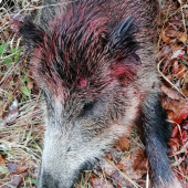 Central STOP, Total STOP