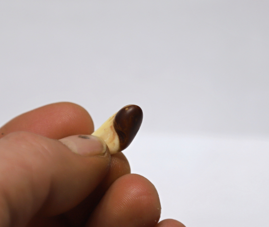 Čo si o tom myslíte?