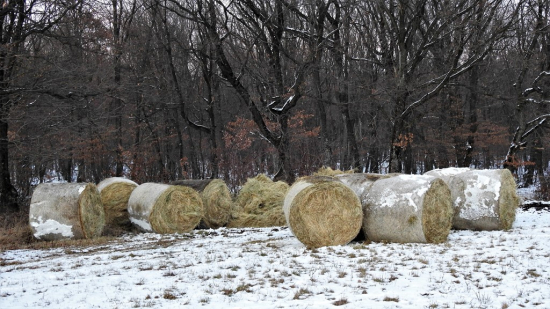 Pripravené na rozvoz