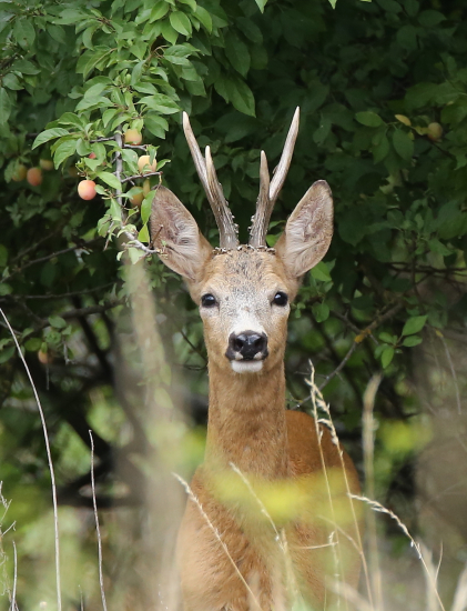 Asi 5 min ma riešil a pobral sa  svojou cestou :-)