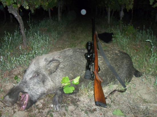 Ochrana viníc & keď diana nadeľuje