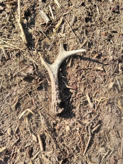 Len tak si kráčaš a...