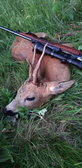 Starý spiatočník z viníc