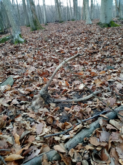 Včera keď som niesol soľ