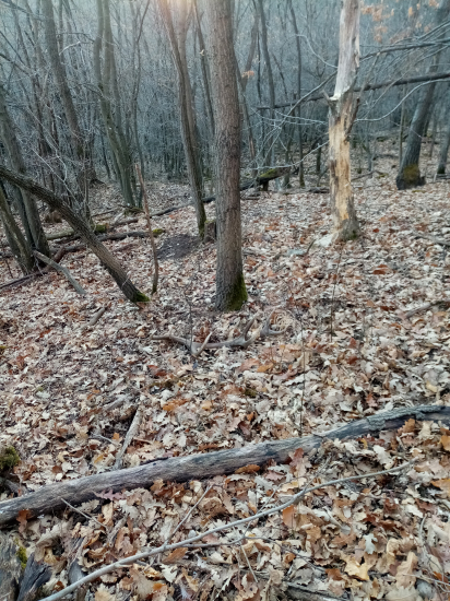 Februárové pohľady