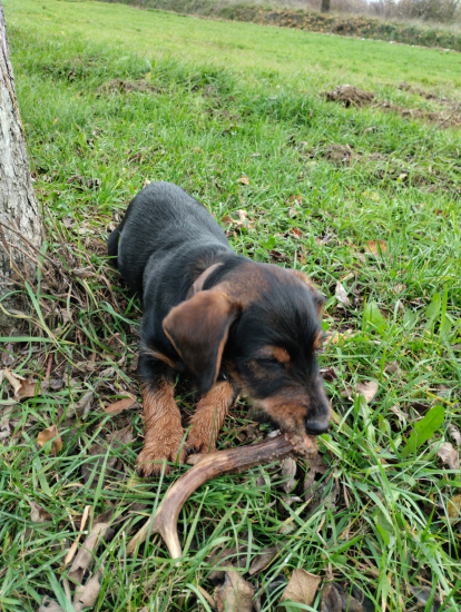 Hassanov prví 3,5 mesačne stene