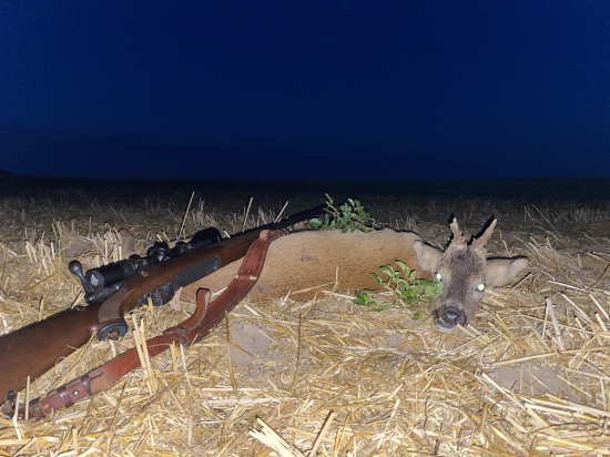 Dovabeny srncek I.vt.