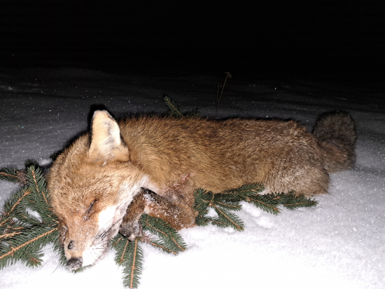 Konečne jedna čo ostala - Lišiak