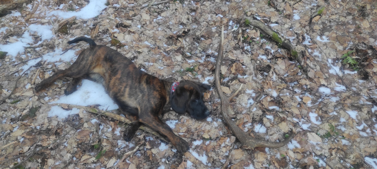 Darček k 9. mesiacu