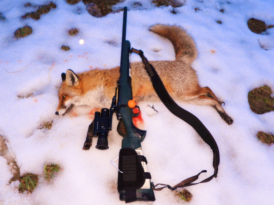 Keď pršalo, mrholilo ......