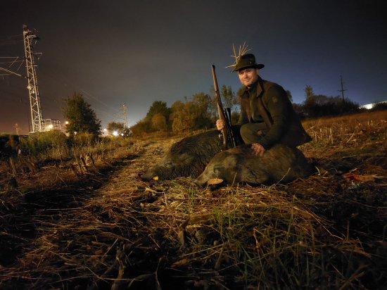 Nočný ťah na strniskách