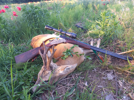 Srnček z hosťovačky,