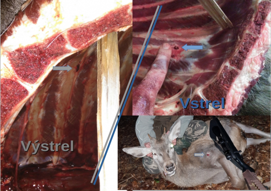 30-06 Sprg. Lapua Scenar 11,3g / 175grs, Jelienok