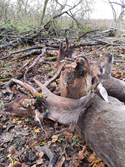 Na život a na smrť...