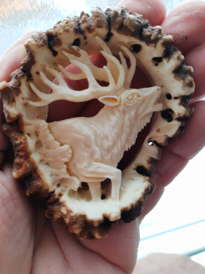 Kráľ z horskych bučín