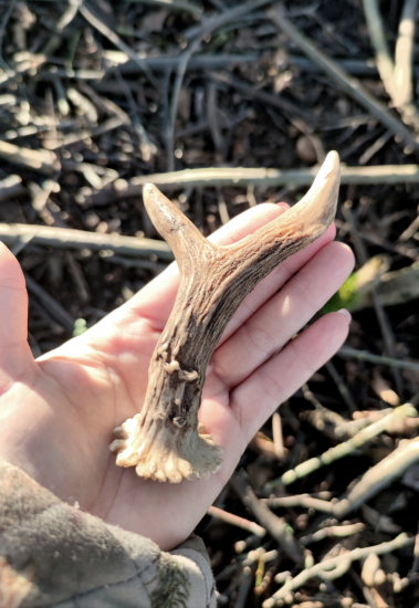 Zbierka sa rozrastá.