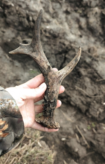 Dnes tak silno fúka, že som veľmi váhala či pôjdem do revíru...ale nakoniec som šla