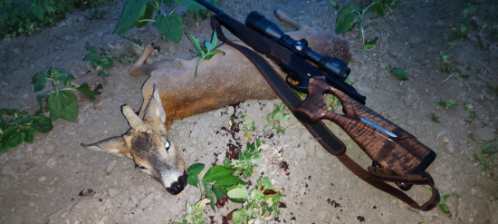 Deväťtrojkový jednorožec