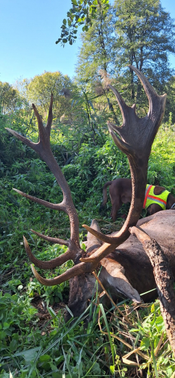 Úspešná dohľadávka.