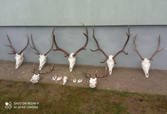 Pripravené na hodnotenie