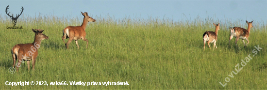 -vo štvorici-