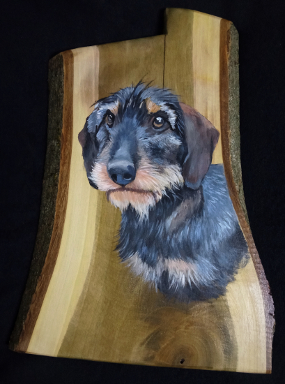 Portrét jazvečíka