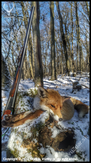 Nedeľná hodinka