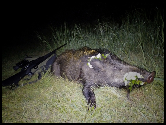 Prvý v piatom mesiaci