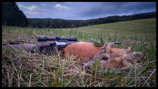Na štvrtú vychádzku