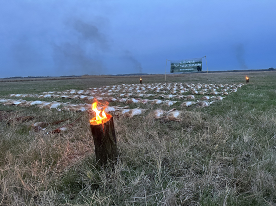 Poľovačka na zajace v Maďarsku