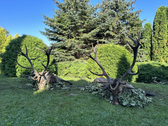 Večer striebro, ráno zlato ....