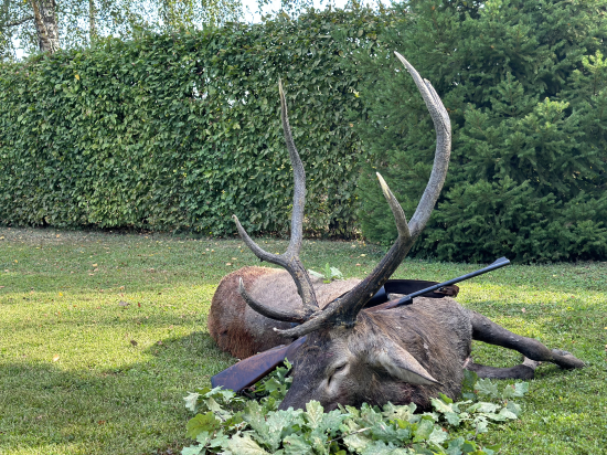 Občas si aj ja sám niečo ulovím .....