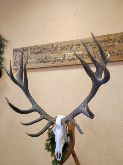 Vlm Kežmarok - 223 CIC