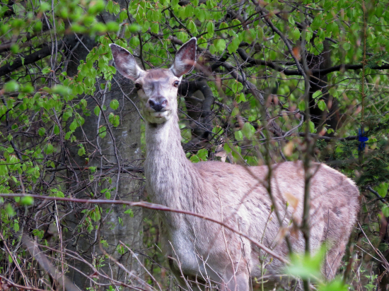 Prekvapili sme sa navzájom...