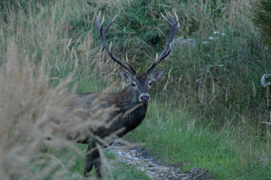 Celkom ma prekvapil...