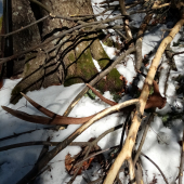 takto pred rokom ležal