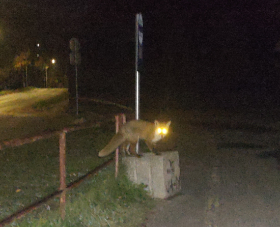 spoločnosť na MHD zastávke