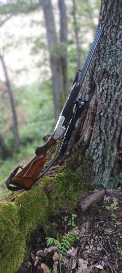 Trojča Josef Winkler, Ferlach