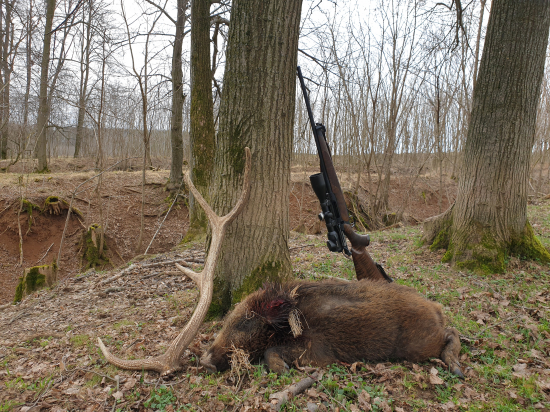 Dvojité šťastie II