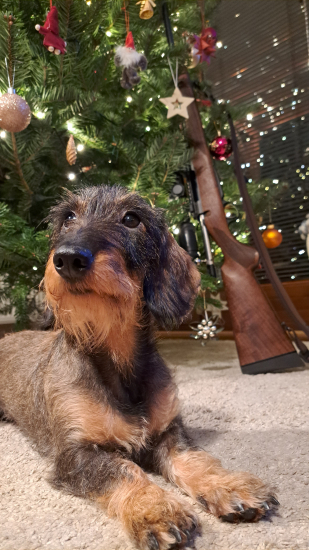 Prajeme Veselé Vianoce a všetko dobré do Nového roku 2024!