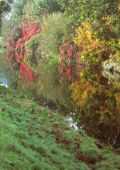 Zrcadlení podzimní přírody