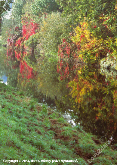 Zrcadlení podzimní přírody