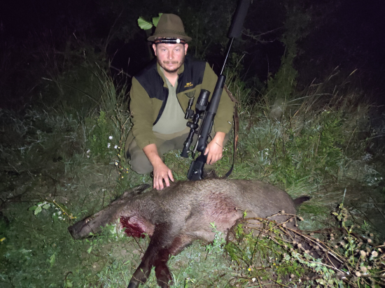 Padla kosa na kameň