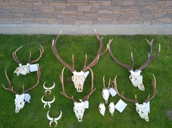 Sezóna 2022 bola vydarená .