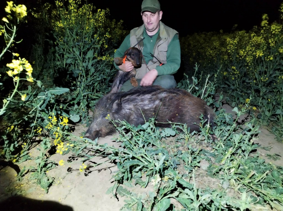 Prvá Texova dohladavka na voľno .